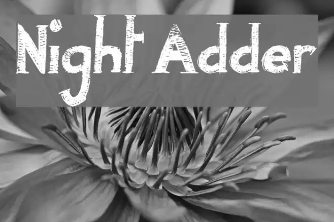 Night Adder Font examples