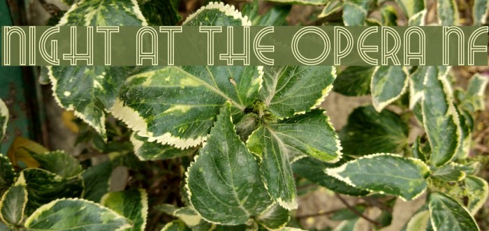 Night At The Opera NF Font examples
