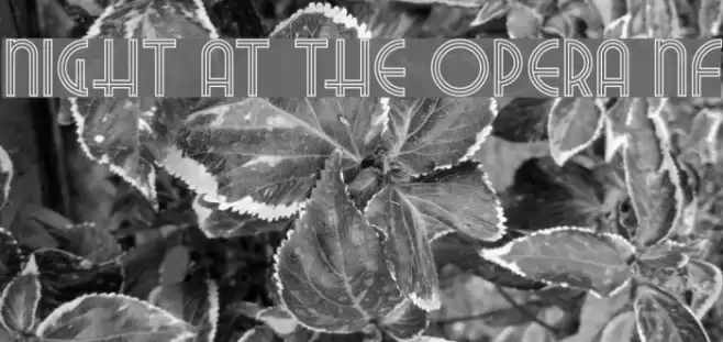 Night At The Opera NF フォント examples