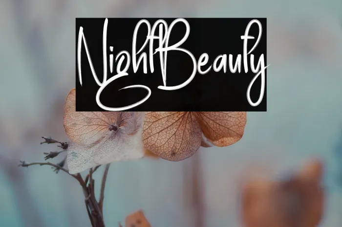 Night Beauty Example 3