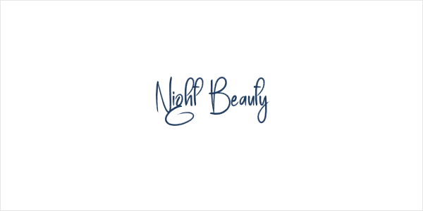 Night Beauty Logo