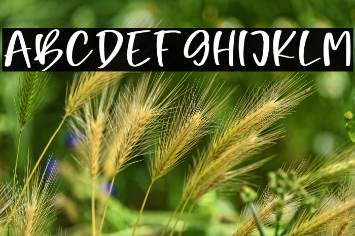 Night Candle Personal Use Example 2