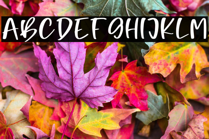 Night Candle Personal Use Example 3