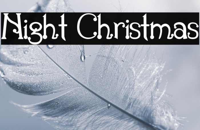 Night Christmas Example 3