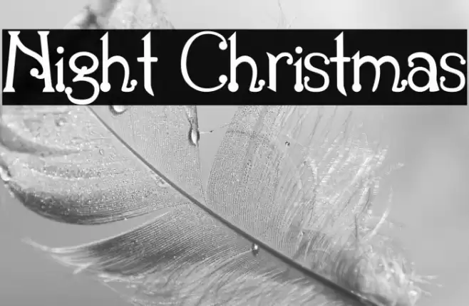 Night Christmas 字体 examples