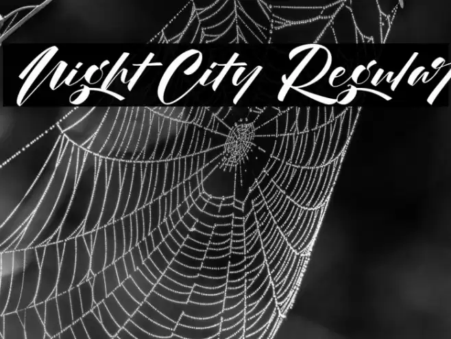 Night City Regular Font examples