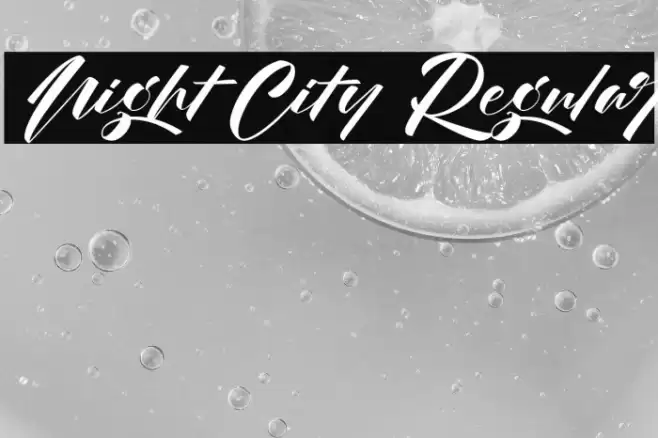 Night City Regular Font examples