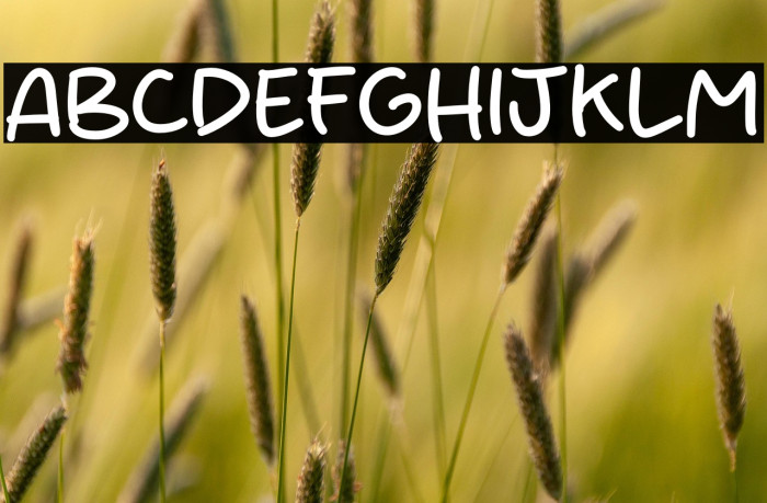 Night Clash Polices examples