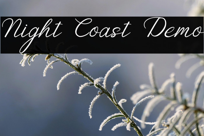 Night Coast Demo Example 1