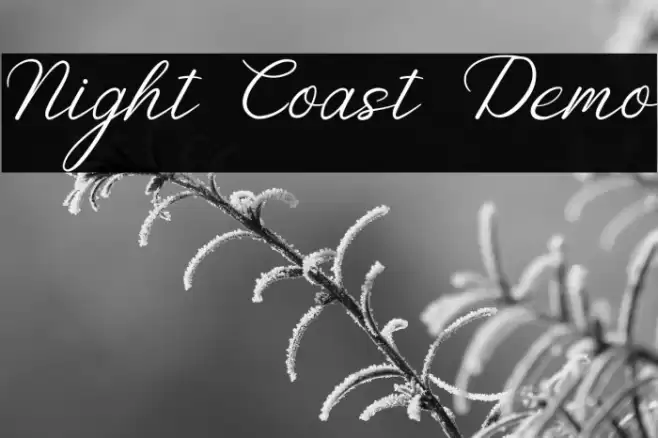 Night Coast Demo フォント examples
