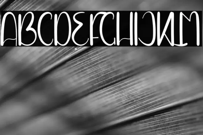 Night December フォント examples