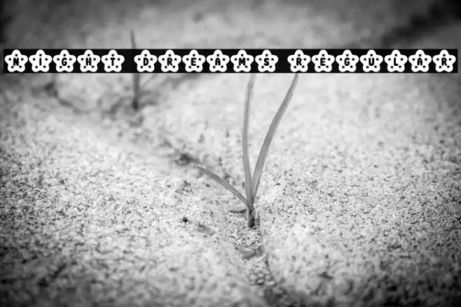 Night Dreams Regular Caratteri examples