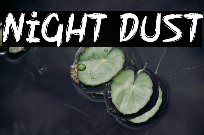 Night Dust Example 2