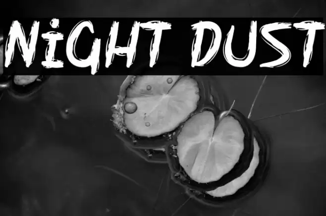 Night Dust Font examples