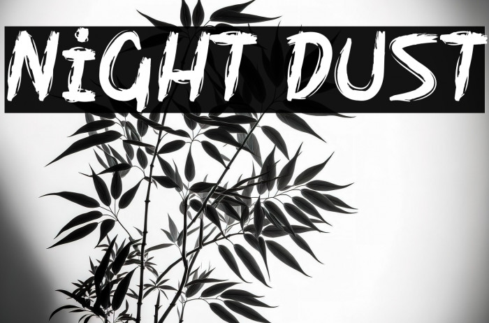 Night Dust Example 3