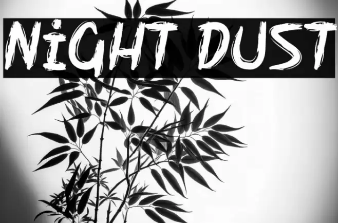 Night Dust Font examples