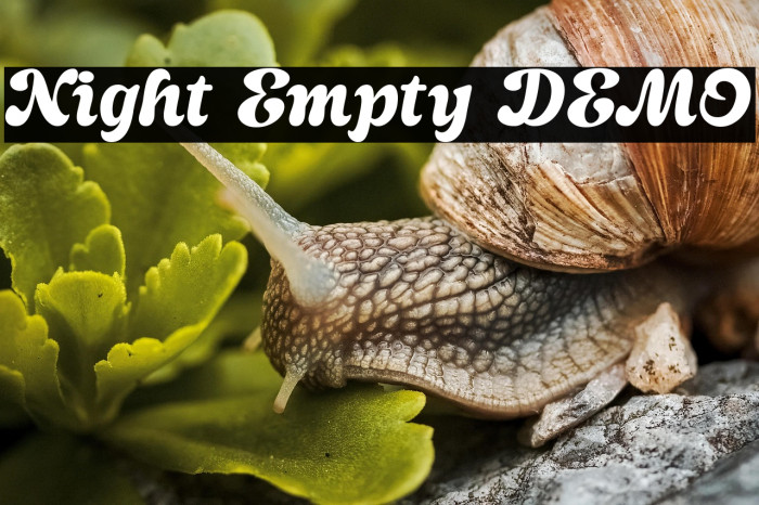 Night Empty DEMO Example 1
