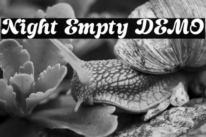 Night Empty DEMO Font examples