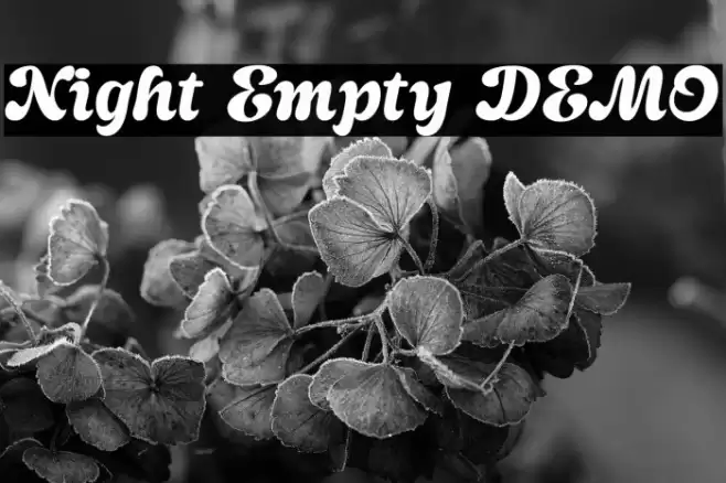 Night Empty DEMO Font examples