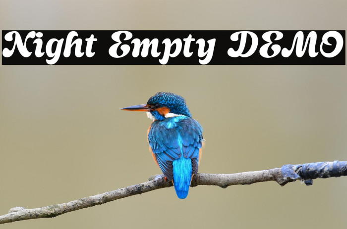 Night Empty DEMO Example 3