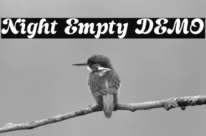 Night Empty DEMO Font examples