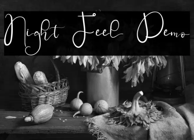 Night Feel Demo Example 3