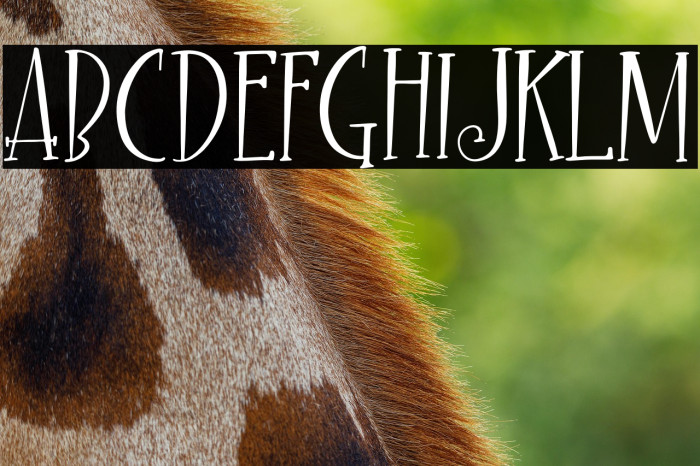 Night Ghost Example 2