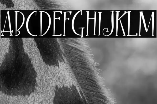 Night Ghost Fonte examples