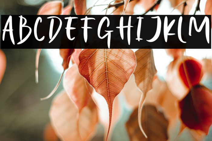 Night Halloween Example 1