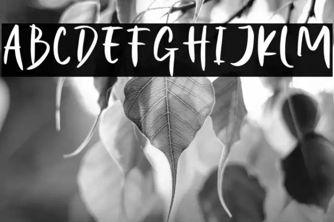 Night Halloween Font examples