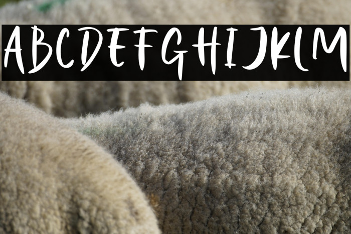 Night Halloween Example 2