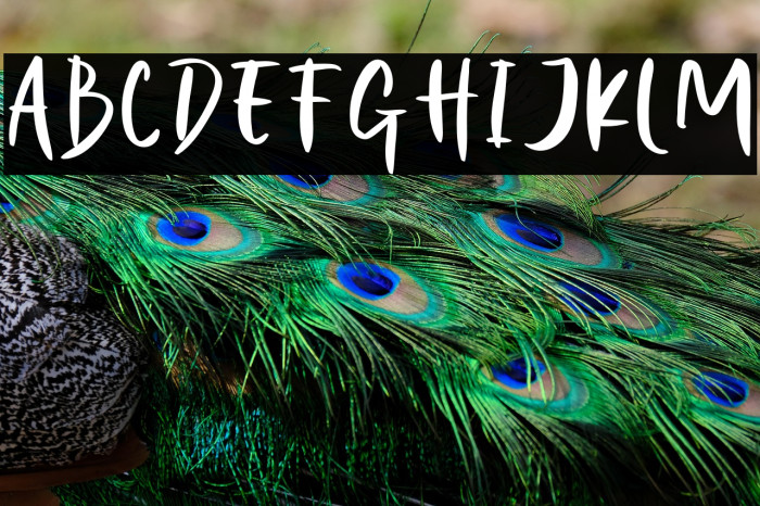 Night Halloween Example 3