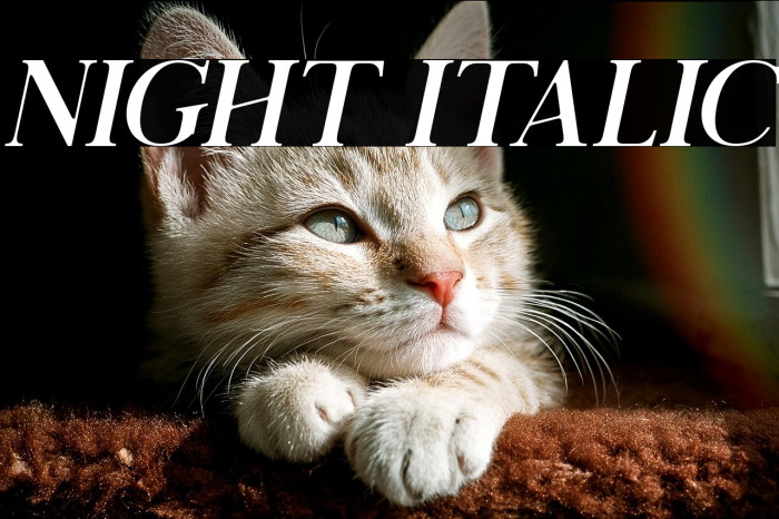 Night Italic Example 2