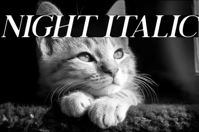 Night Italic Example 2