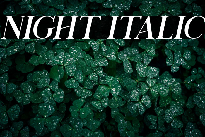 Night Italic Example 3