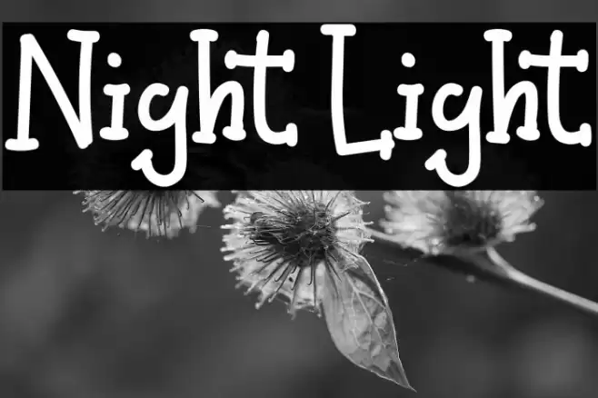 Night Light Font examples