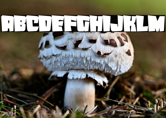 Night Mare Example 3