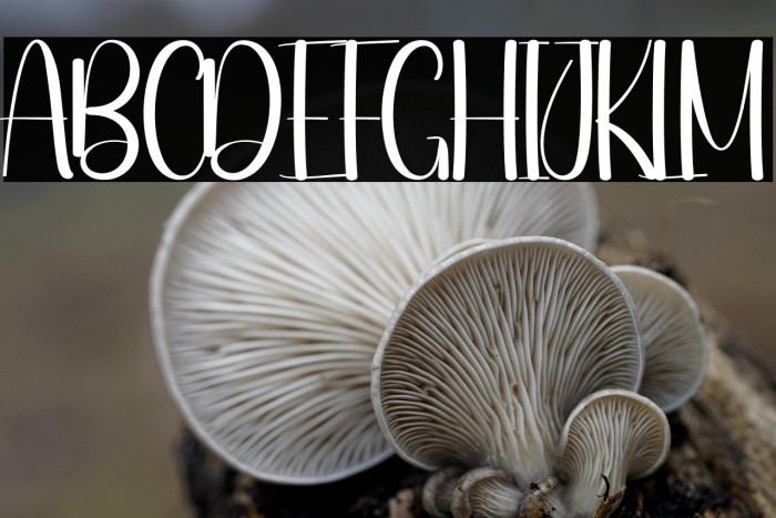 Night Market Example 1