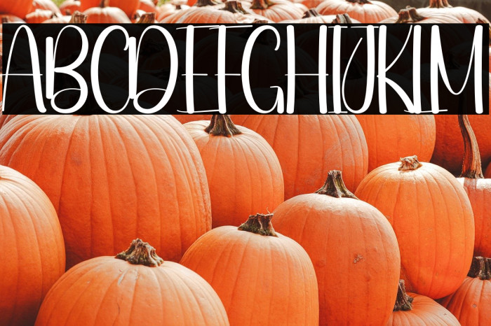 Night Market Example 2