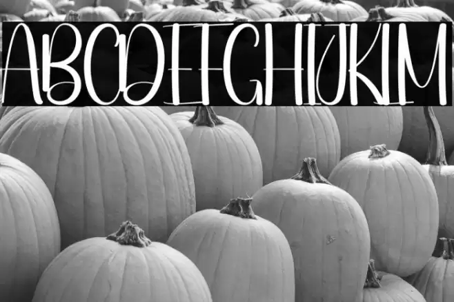 Night Market फ़ॉन्ट examples