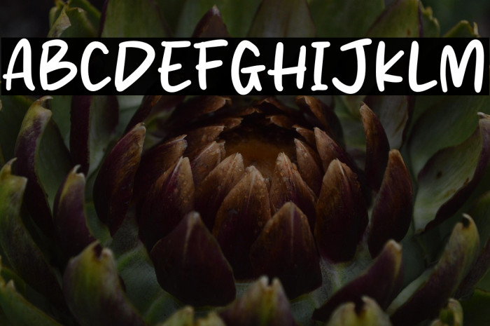 Night Morning Example 3