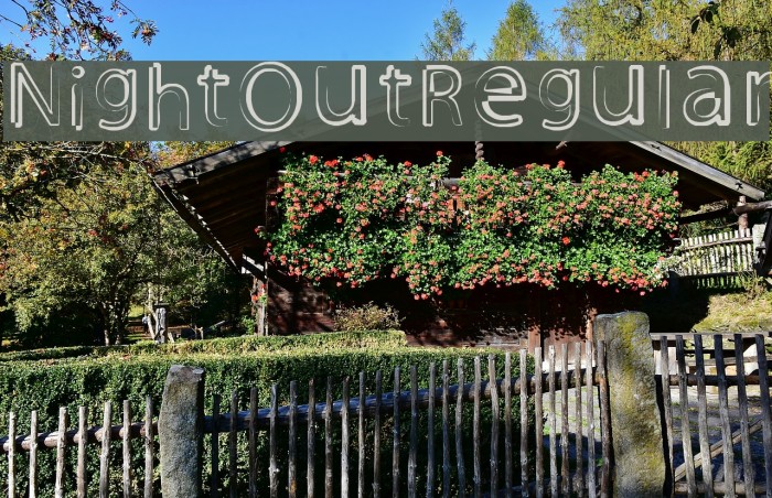 Night Out Regular Example 2