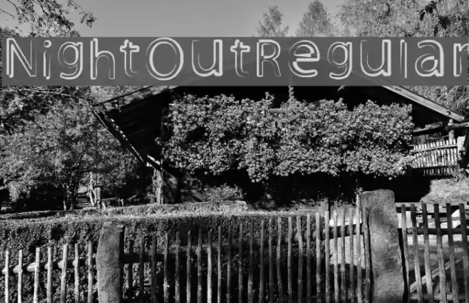 Night Out Regular Font examples