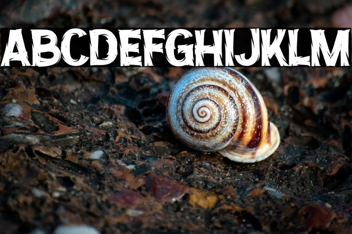 Night Rumble Example 3