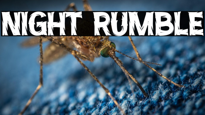 Night Rumble Example 2