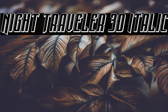 Night Traveler 3D Italic Example 3