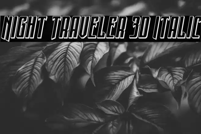 Night Traveler 3D Italic Font examples