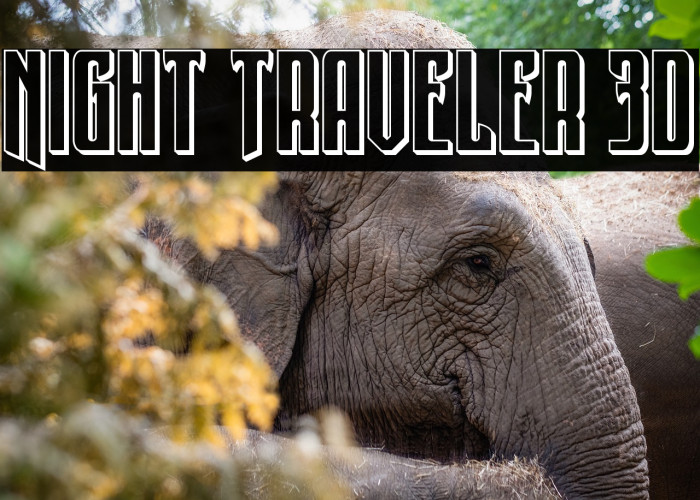 Night Traveler 3D Example 3