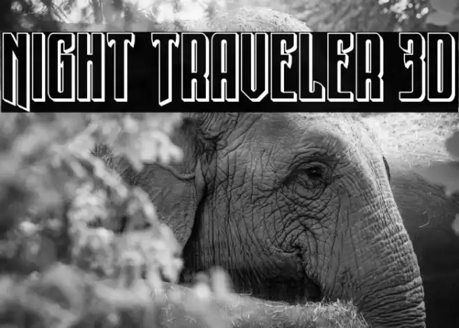 Night Traveler 3D Font examples