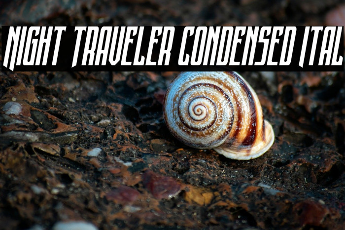 Night Traveler Condensed Ital Example 2